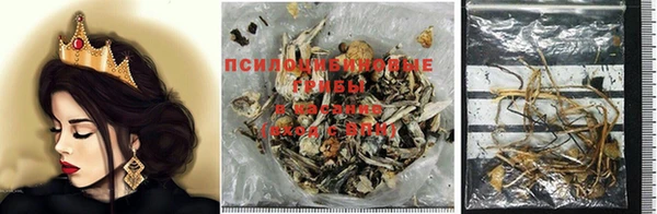 трава Балахна