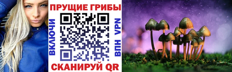 Псилоцибиновые грибы прущие грибы мега зеркало Бодайбо